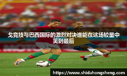 芒果体育官网入口